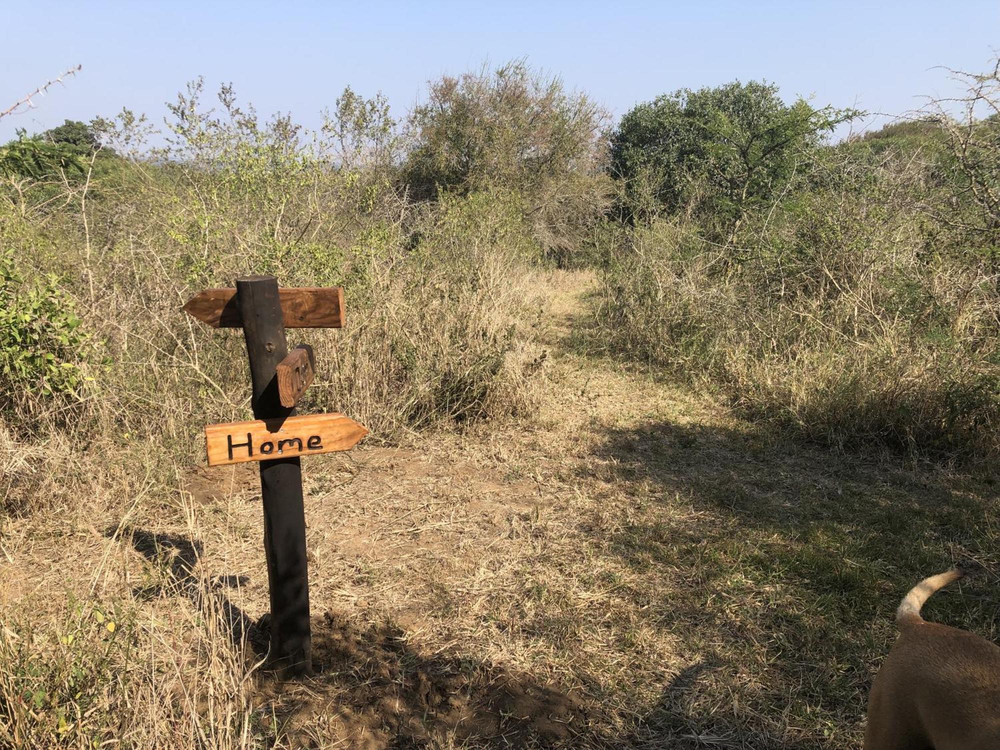 Firefly Farm Villa KwaNibela Eksteriør billede